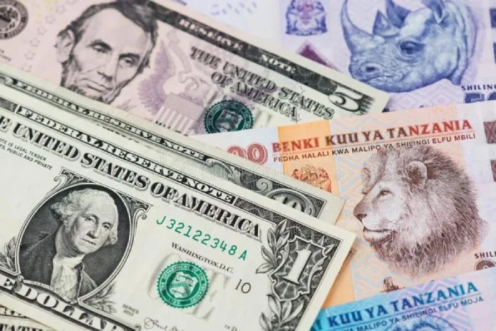 Money Matters Tanzania Safaris