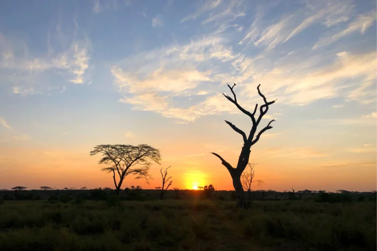 When is the best time to visit Tanzania?