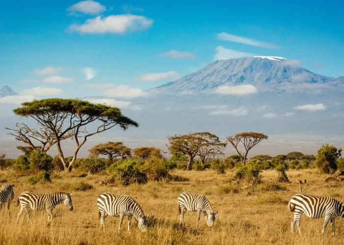 Kilimanjaro National Park1