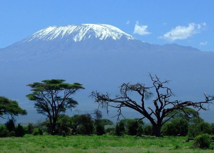Kilimanjaro National Park2