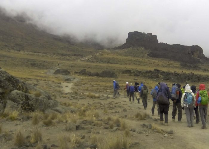 Lemosho Route - kilimanjaro