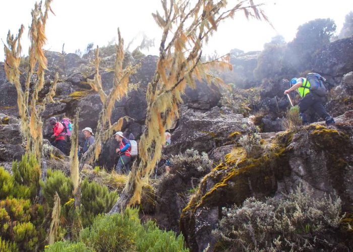 Northern Circuit Route242